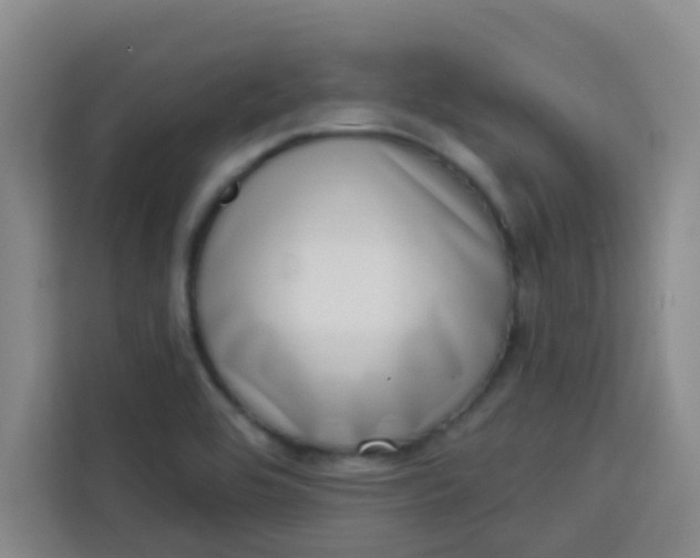 X0000113741464200910071036