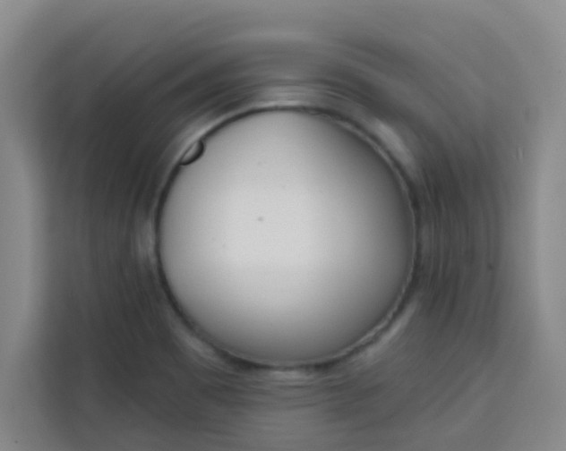 X0000113741465200910071036