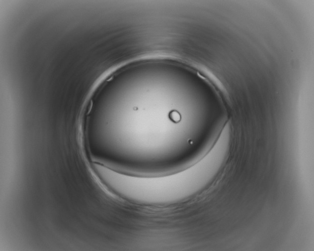 X0000113741468200910071036