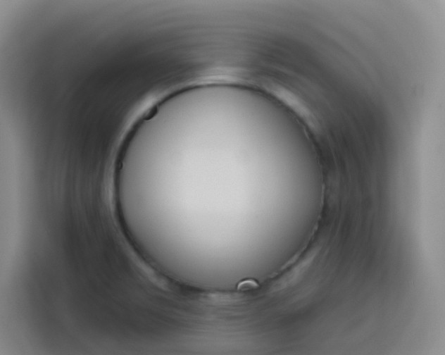 X0000113741469200910071036