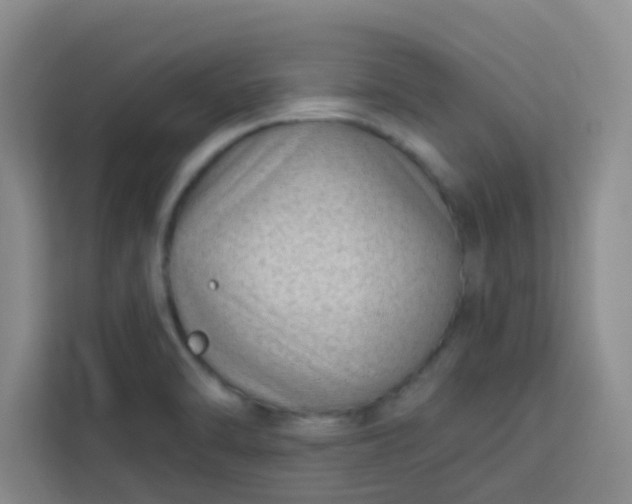 X0000113741470200910071036