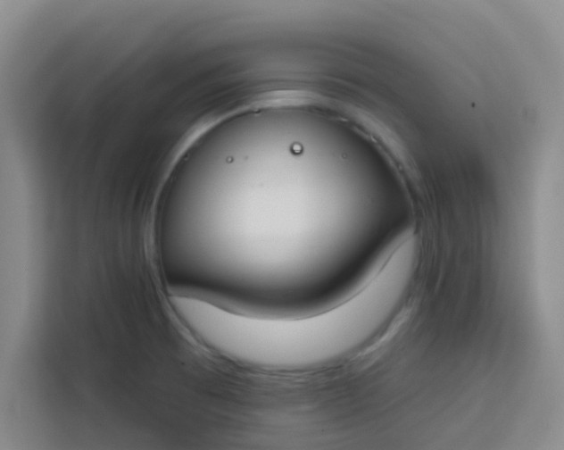 X0000113741473200910071036