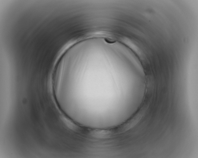 X0000113741474200910071036