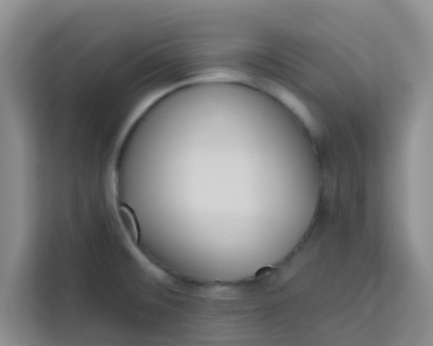 X0000113741476200910071036