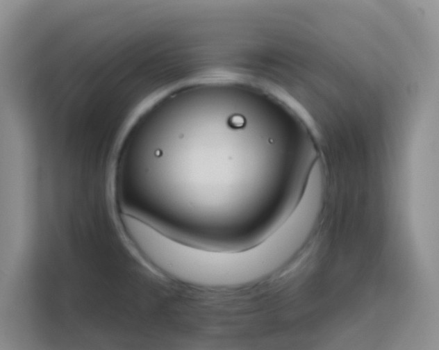 X0000113741477200910071036