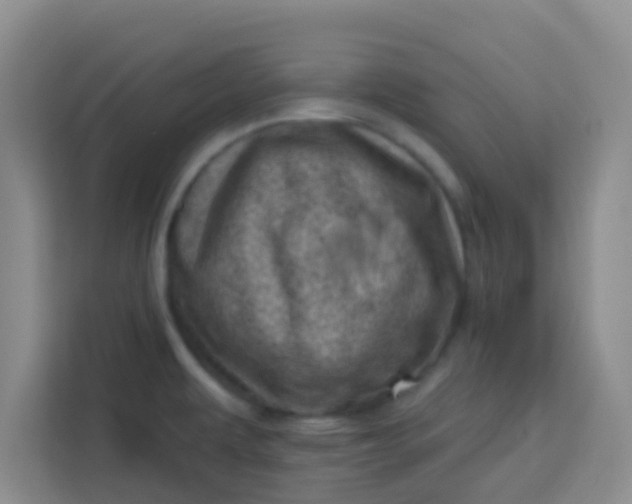 X0000113741479200910071036