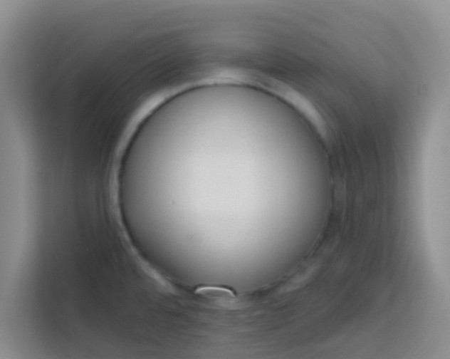 X0000113741480200910071036