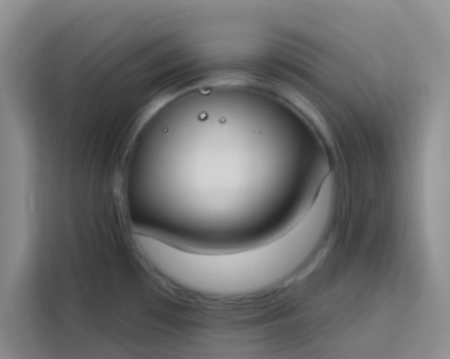 X0000113741481200910071036