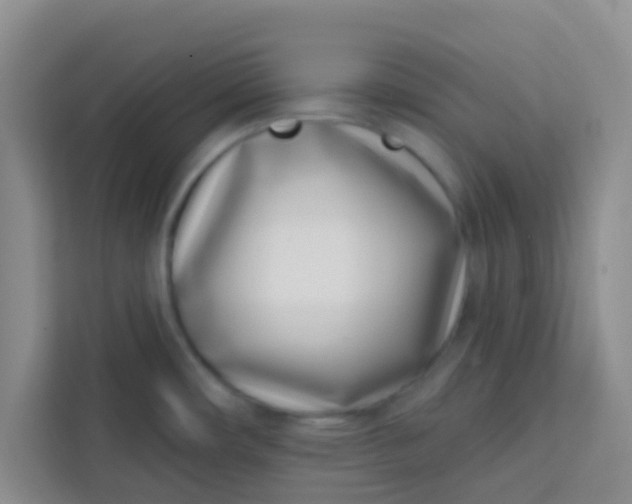 X0000113741482200910071036