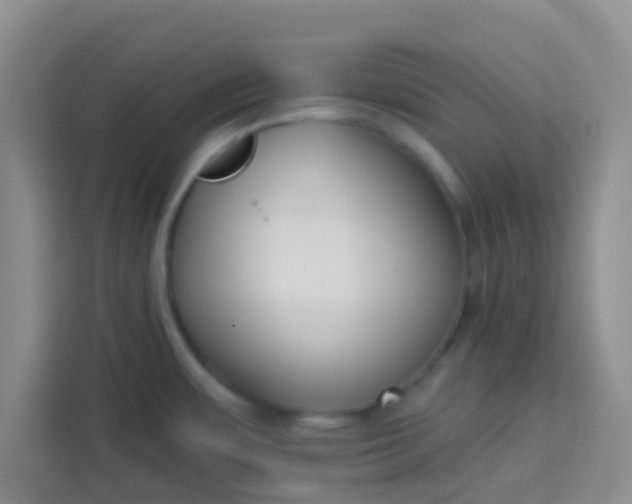 X0000113741483200910071036