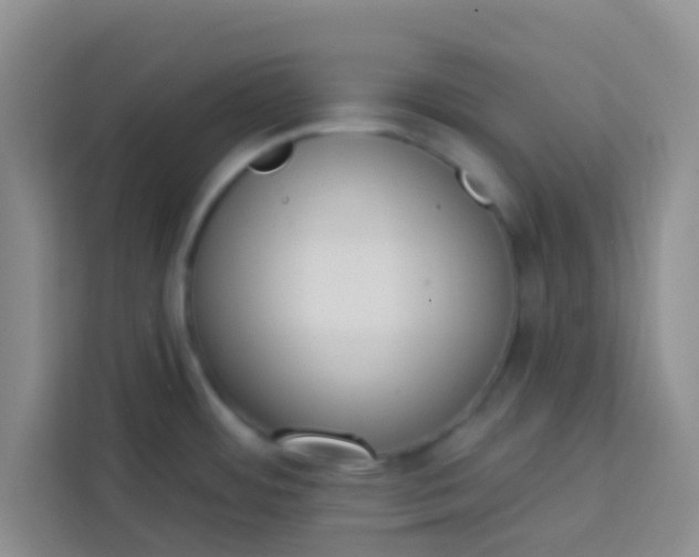 X0000113741484200910071036