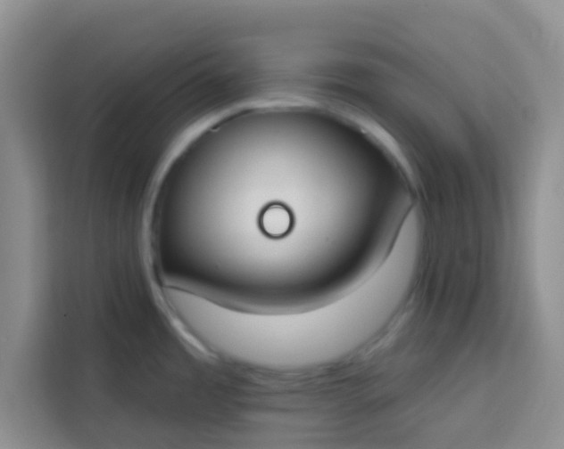 X0000113741485200910071036