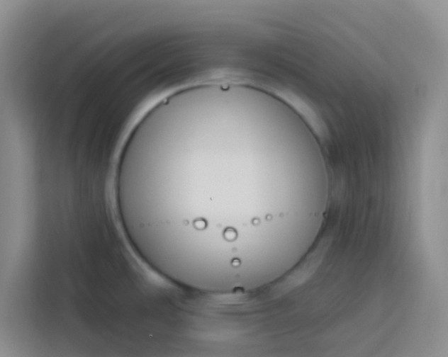 X0000113741486200910071036