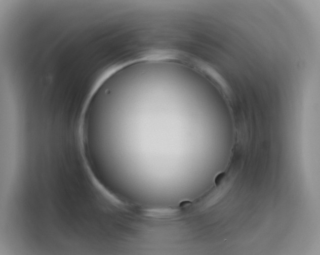 X0000113741487200910071036