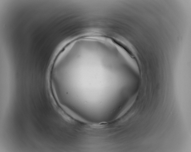 X0000113741488200910071036