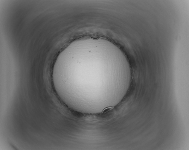 X0000113741489200910071035