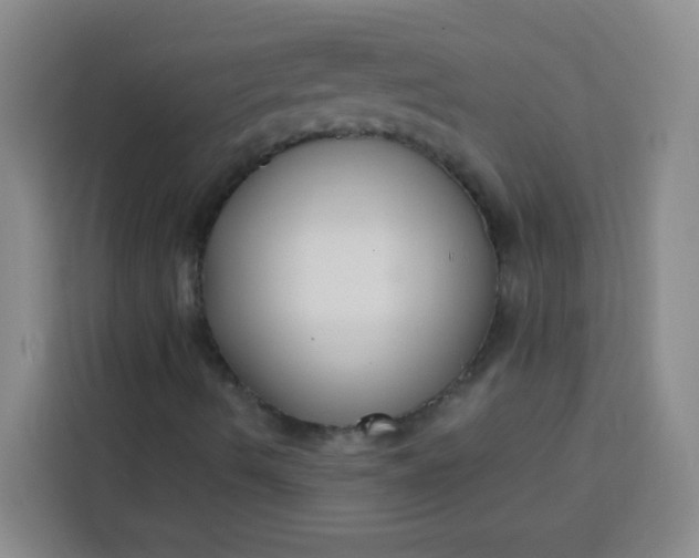 X0000113741490200910071035