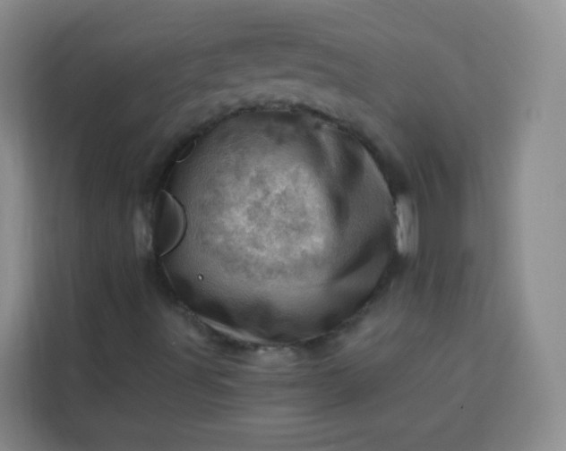 X0000113741491200910071035