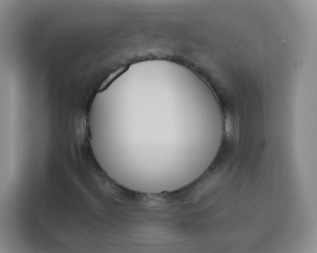 X0000113741492200910071035