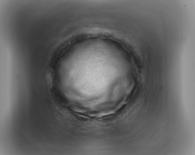 X0000113741493200910071035