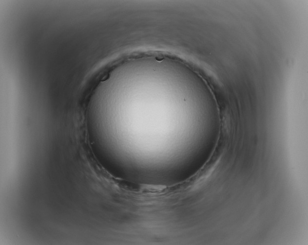 X0000113741494200910071035