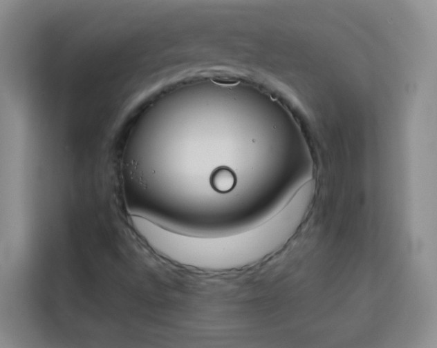 X0000113741496200910071035