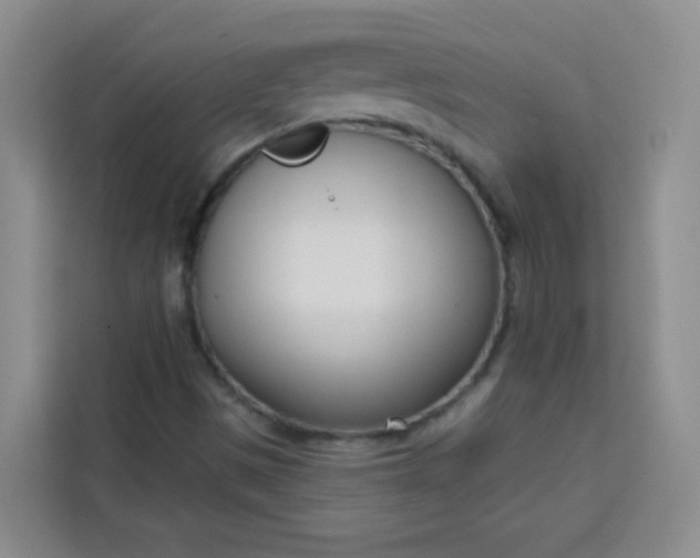 X0000113741497200910071035