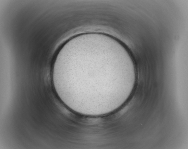 X0000113741498200910071035