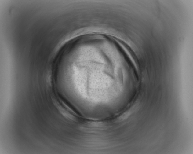 X0000113741499200910071035