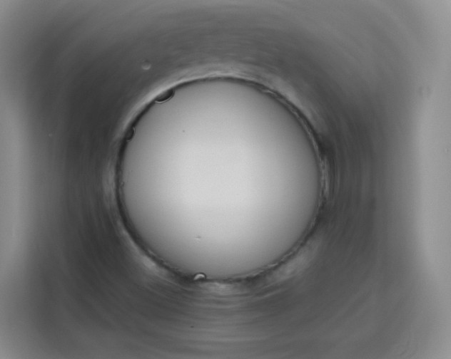 X0000113741500200910071035