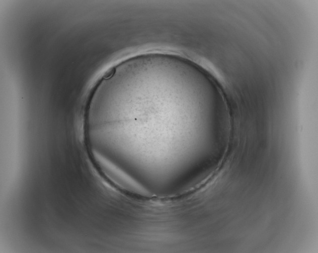 X0000113741504200910071035