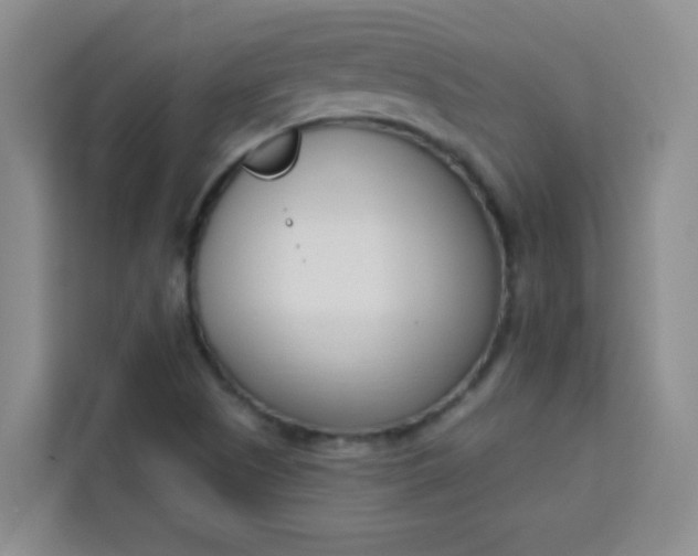 X0000113741505200910071035