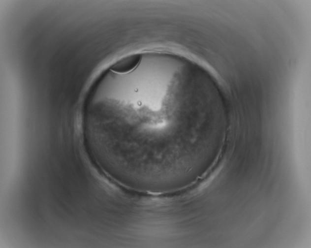 X0000113741506200910071035