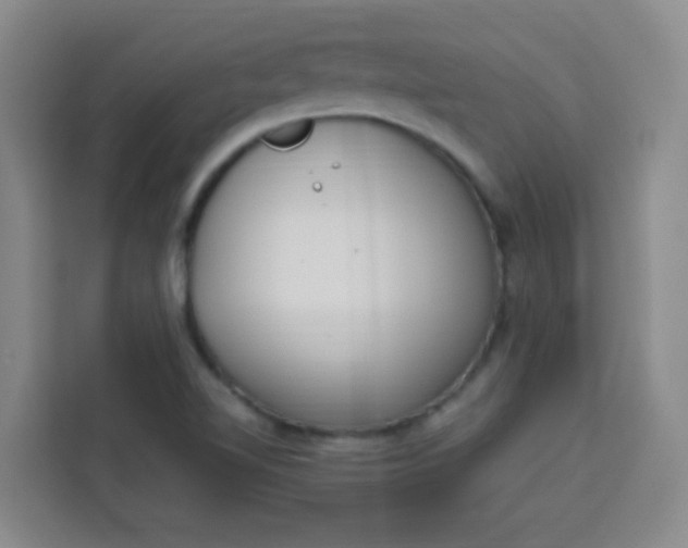 X0000113741510200910071035