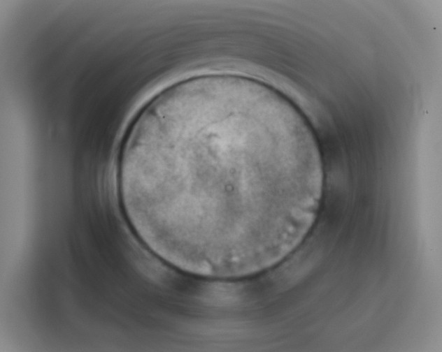 X0000113741514200910071036