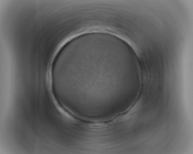 X0000113741515200910071036