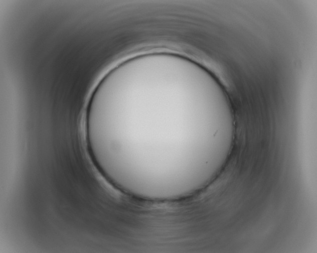 X0000113741516200910071036