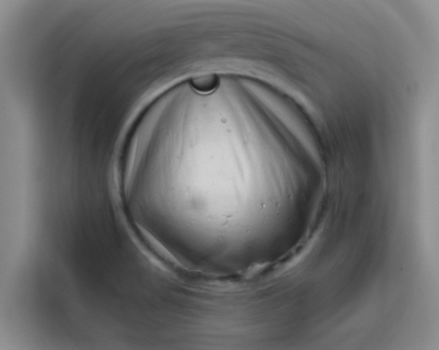 X0000113741517200910071036