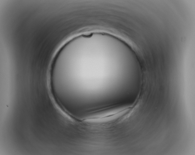 X0000113741518200910071036