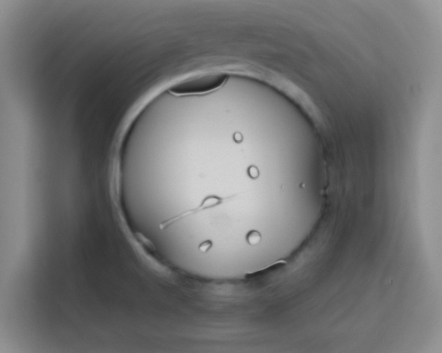 X0000113741520200910071036