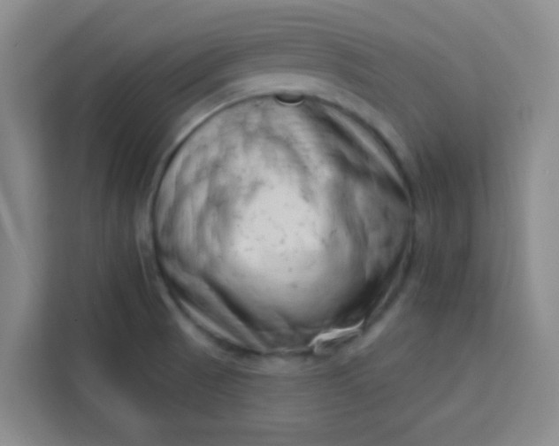 X0000113741521200910071036