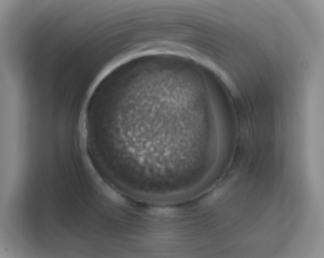 X0000113741522200910071036