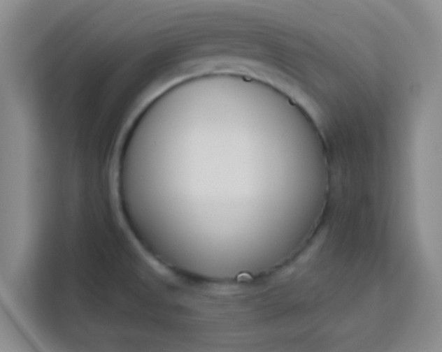 X0000113741525200910071036