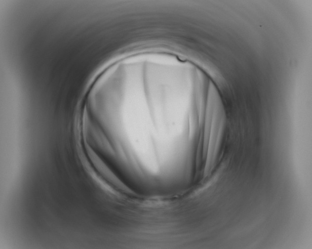 X0000113741526200910071036