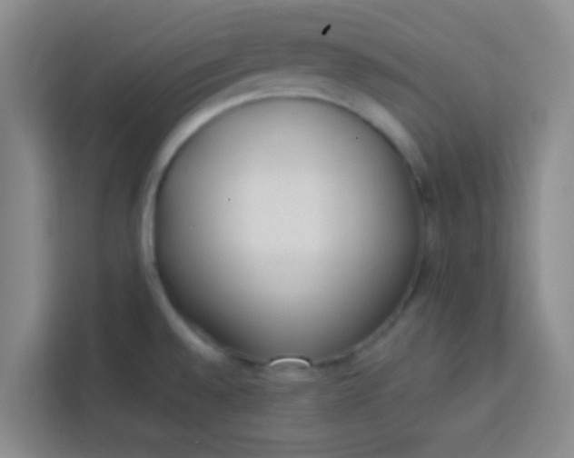 X0000113741528200910071036