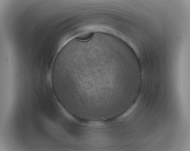 X0000113741529200910071036