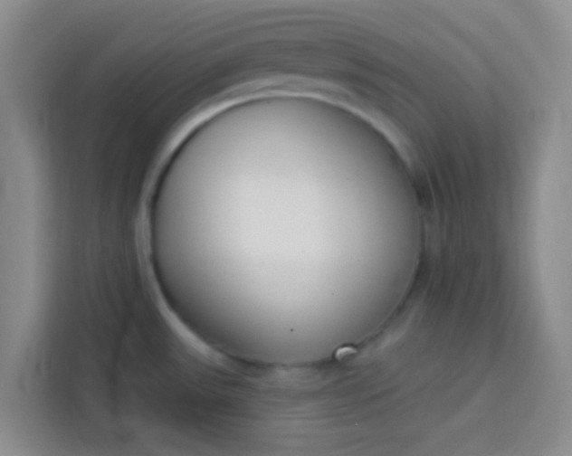 X0000113741531200910071036