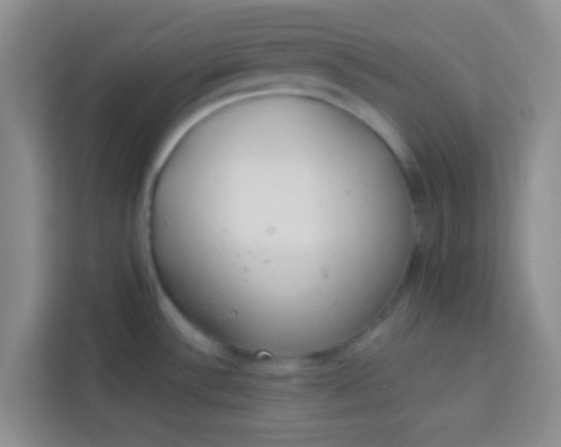 X0000113741532200910071036