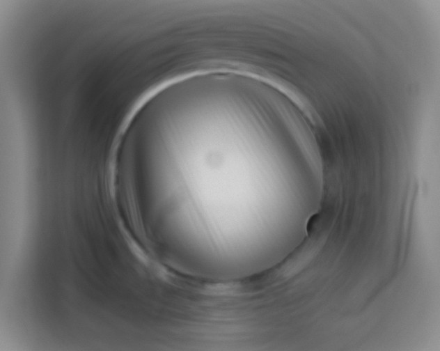 X0000113741535200910071036