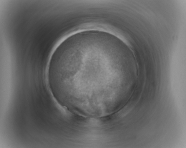 X0000113741536200910071036